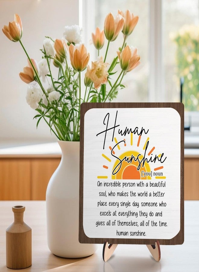 DMADNF Sunshine Gift, Motivational Appreciation Gift for Women Men, Wooden Plaque Sign for Coworker Teacher Office Desk Home Decor Human Sunshine Gifts - Image 3
